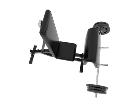Arm curl bench isolated on background. 3d rendering - illustration png
