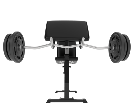 Arm curl bench isolated on background. 3d rendering - illustration png