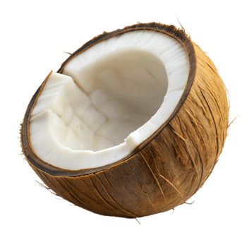 A whole coconut is cut open to reveal its white interior png