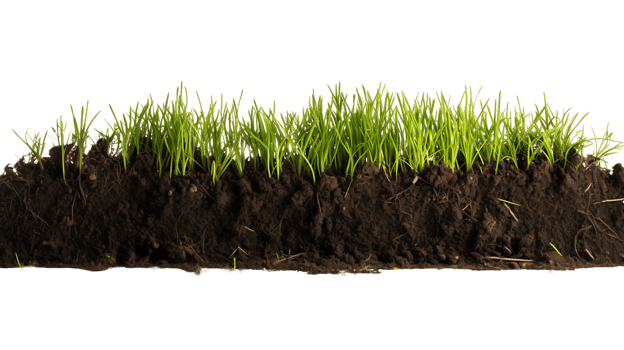 Essential Gardening Ingredient Black Soil Cut Out png