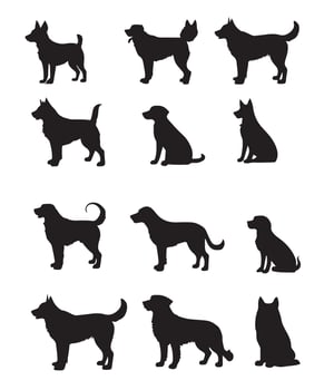 Dog silhouettes design vector