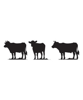 cow silhouettes design vector