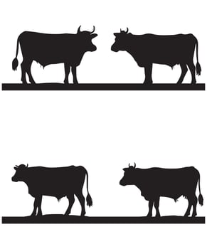 cow silhouettes design vector