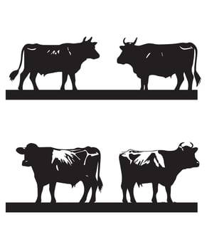cow silhouettes design vector