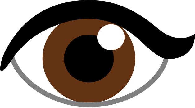 Flat human organ eyes cartoon illustration png