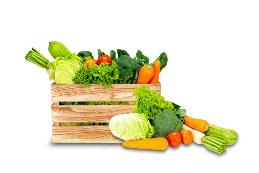 Banner design concept of fresh organic and vegetables png