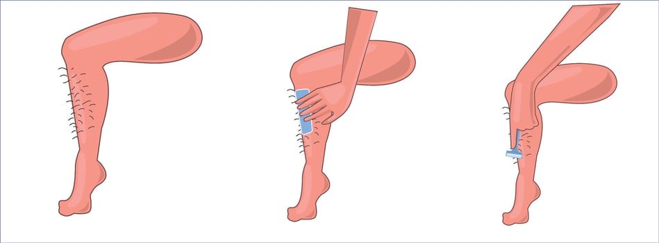 Arm, leg, tongue, mouth, nose, hand, human body parts illustration vector