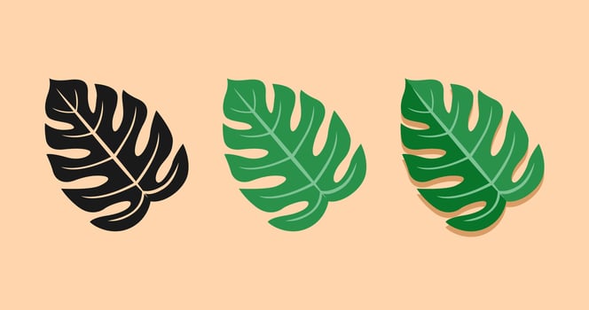 Tropical leaves silhouettes set. illustration in flat style vector