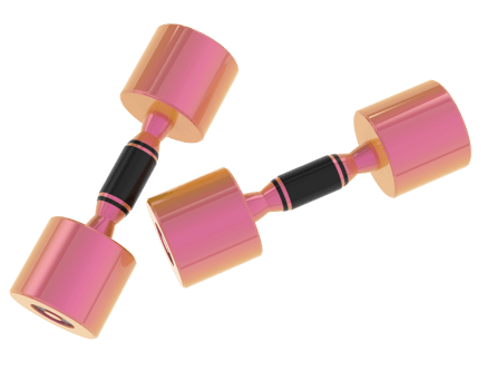 Dumbbell isolated on background. 3d rendering - illustration png