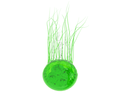 Jellyfish isolated on background. 3d rendering - illustration png