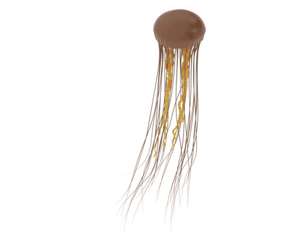 Jellyfish isolated on background. 3d rendering - illustration png