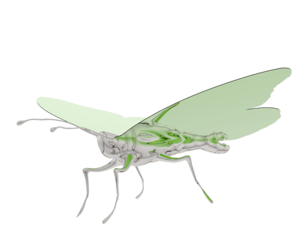Toy butterfly isolated on background. 3d rendering - illustration png