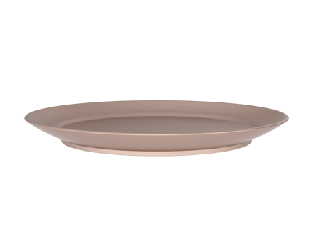 Serving plate isolated on background. 3d rendering - illustration png
