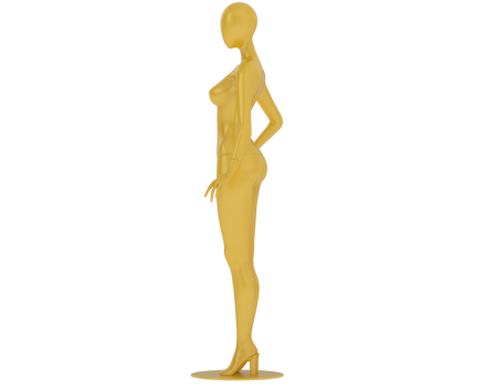 Female mannequin whole isolated on background. 3d rendering - illustration png