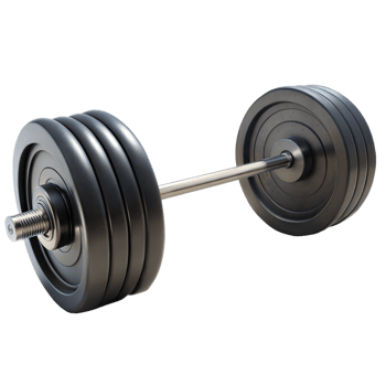 A black weight bar with a black rubber plate on each side png