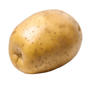 A large, unpeeled potato with a few small holes on its skin png