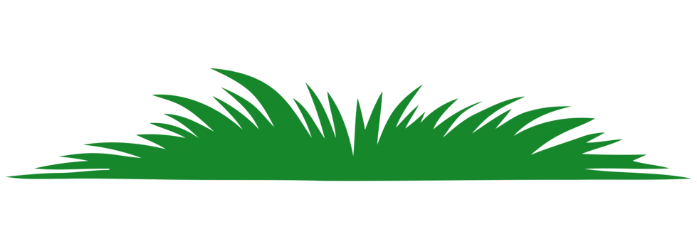 green grass illustration png