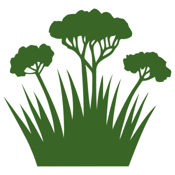 green grass illustration png