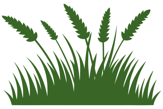green grass illustration png