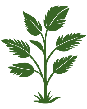 green grass illustration png