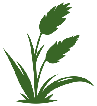 green grass illustration png