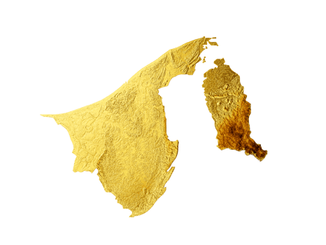 Brunei Map Golden metal Color Height map 3d illustration png