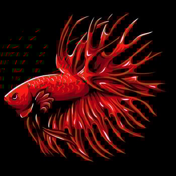 Red crown tail betta fish mascot. esport logo design vector