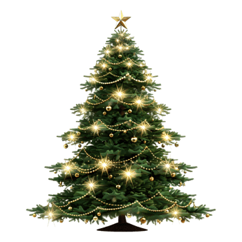 Christmas Tree with Stars, Light, Gift Boxes on Transparent Background png