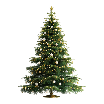 Christmas Tree on Transparent Background png