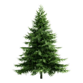 Christmas Tree on Transparent Background png