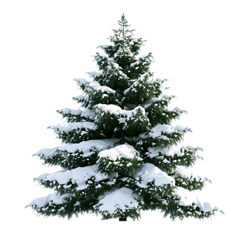 Christmas Tree on Transparent Background png