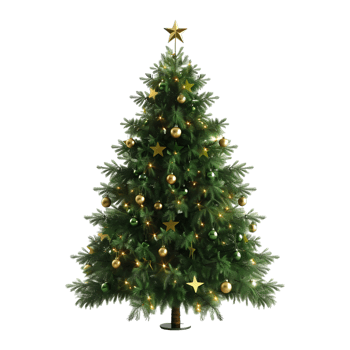 Christmas Tree on Transparent Background png