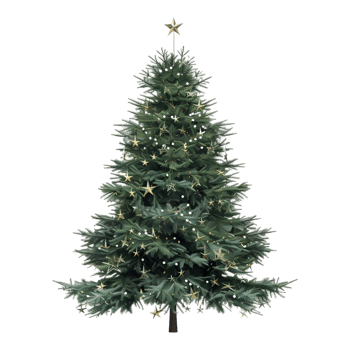 Christmas Tree on Transparent Background png