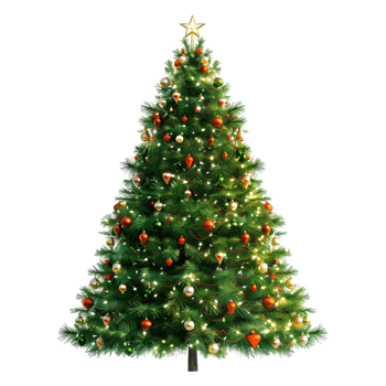 Christmas Tree on Transparent Background png