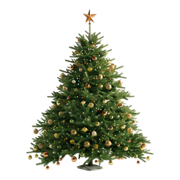 Christmas Tree on Transparent Background png