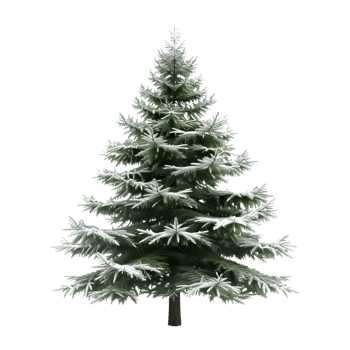 Christmas Tree on Transparent Background png