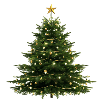 Christmas Tree with Stars, Light, Gift Boxes on Transparent Background png