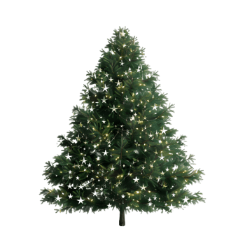 Christmas Tree on Transparent Background png