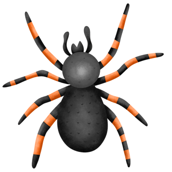 Spider cute watercolor insect png