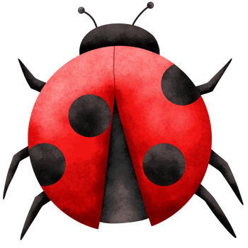 Ladybug cute watercolor insect png
