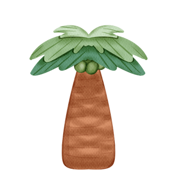Illustration of coconut palm tree png