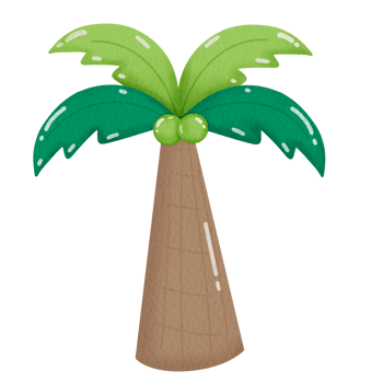 Illustration of coconut palm tree png