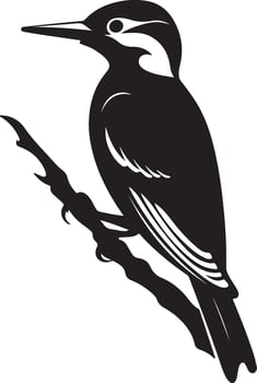 Woodpecker Silhouette Illustration White Background vector