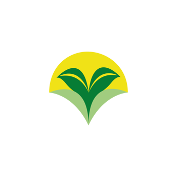 Leaf logo. Different shapes and colors of leaves, perfect for illustration, and various arts. png