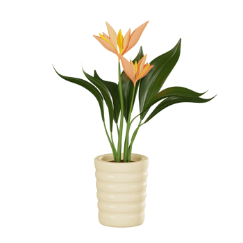 Vibrant Bird of Paradise of Exotic Tropical Plant. 3D Render png
