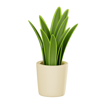Vibrant Greenery of a Potted Snake Plant for Home Decor. 3D Render png
