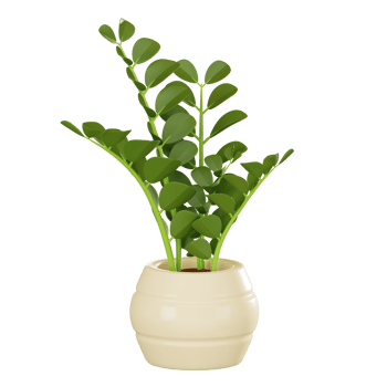 Botanical Elegance of zz Plant Home Decor Icon. 3D Render png