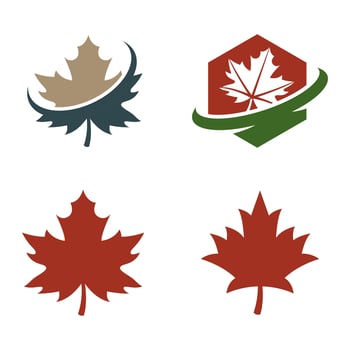 Set of Maple leaf logo. Forest and wood symbol sign. Nature tree logo. vector