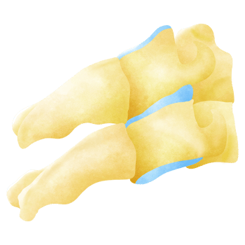 A postoperative lateral cervical spine png
