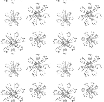 Seamless pattern of hand drawn cornflower vector